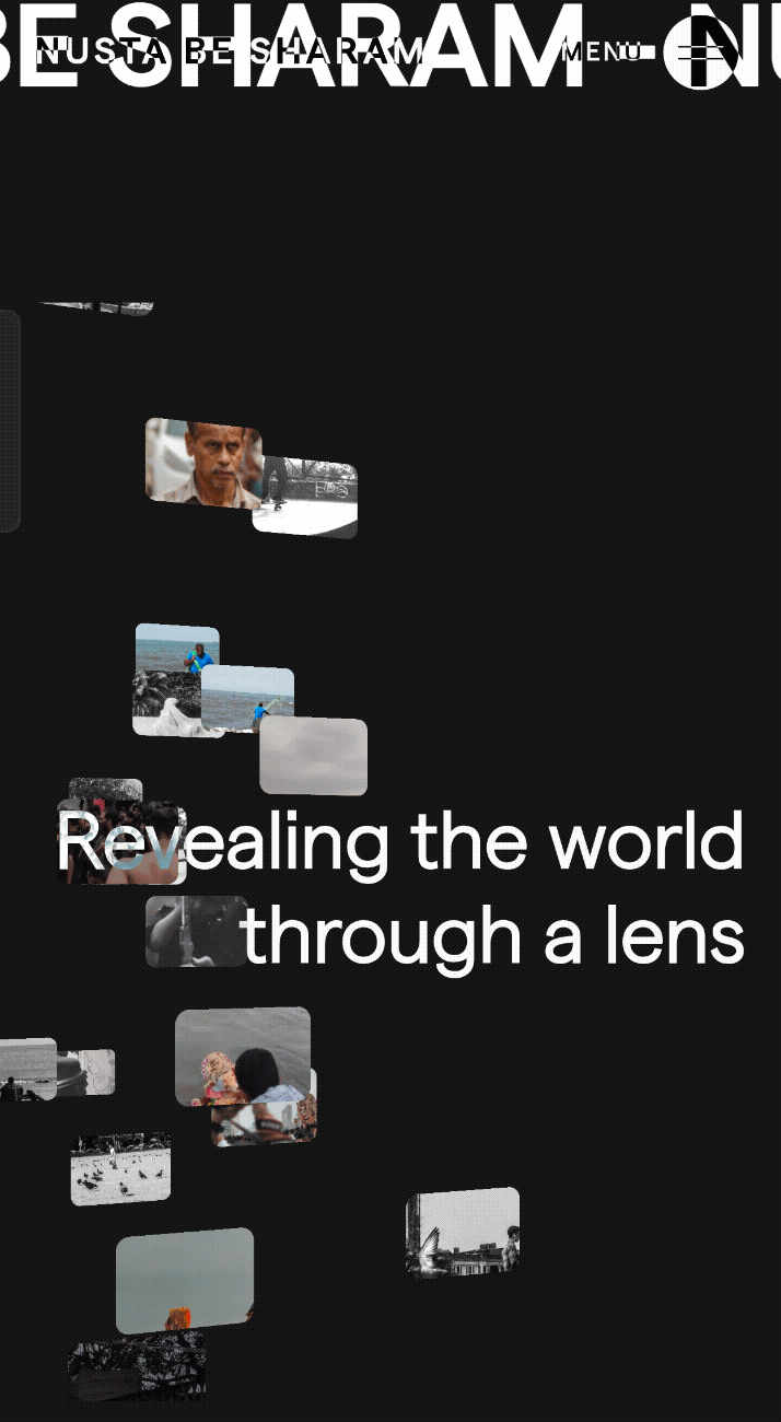 Project image 2